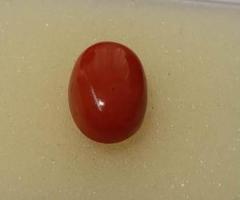 Buy Red Coral (Moonga) online at Best Price in India - Gemswisdom