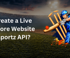 Unlocking the Game: Cricket Data API for Comprehensive Insights