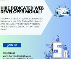 Hire Dedicated Web Developer Mohali
