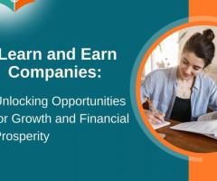 Learn N Earn Company A Closer Look - 1