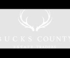 Bucks County Estate Traders