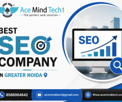 Best SEO Company in Greater Noida | Acemind Technology