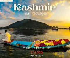 Celebrate Bliss in the Valley: Unveil the Best Kashmir Tour Packages with Tripoventure