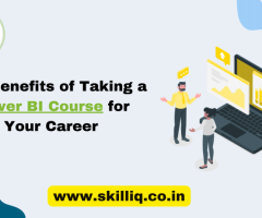 Mastering Power BI Certification Course | SkillIQ