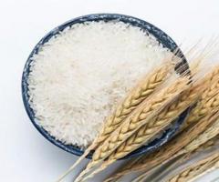 Culinary Perfection Redefined: NGK Global Trade's Finest Basmati Rice in India