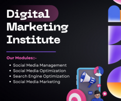 Dssd is the best digital marketing institute in Delhi