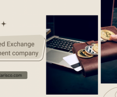 How to Evaluate the Credibility of a Centralized Exchange Development Company