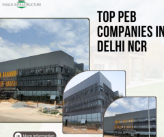 Luxury Peb Companies in Delhi NCR – Willus Infra