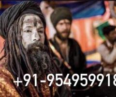 Breakup Problem Solution Astrologer Specialties Baba Ji +91-9549599183