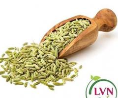 LVNFoods - Buy Best Fennel Seeds Online in India