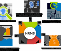 Reduces Complexity and Increase Organizational Agility with D365 HRMS