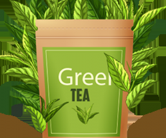 Best premium green tea brands manufacturer