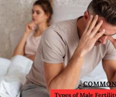 Common Types of Male Fertility Problems