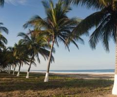Land For Sale in Playa Tortugas - 1