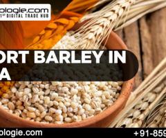 Import Barley in India