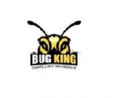 Pest Control Mooloolah Valley | Bug King