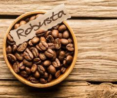 From Farm to Cup: Vaishnavi Estate's Premium Coffee