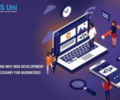 4 Reasons Why Web Development Is Necessary For Businesses