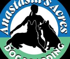 Anastasia's Acres Dog Boarding: Your Pet's Dream Getaway