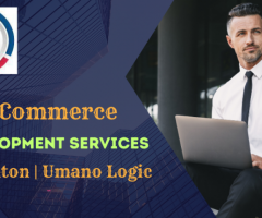 eCommerce Website Development for Your Business