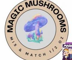 Explore Enchantment: Magic Mushroom Store Online