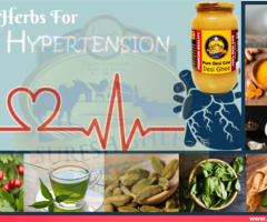 Herbs – Natural Way To Control Hypertension