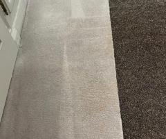 Reviving carpets in North East London