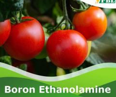 Get Best Boron Ethanolamine 10% SC at Peptech Biosciences Ltd