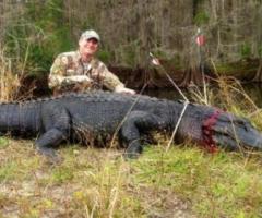Get Exciting Florida Gator Hunting Services with Razzor Ranch - 1