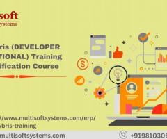 SAP Hybris (DEVELOPER & FUNCTIONAL) Training And certification Course - 1