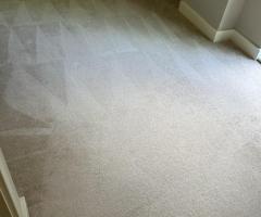 Premier Carpet Cleaning in South West London