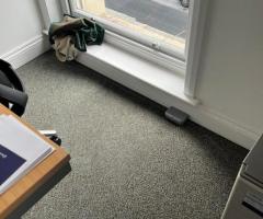 Expert care for carpets in Harrow London