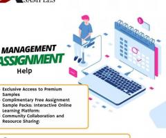 Exclusive Offer! Get 30% OFF on Management Assignment Help Services - 1