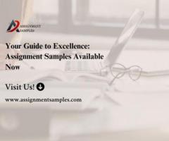 Your Guide to Excellence: Assignment Samples Available Now