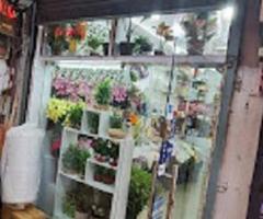 Fresh Flowers in Gurgaon