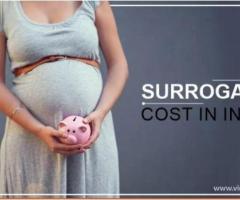 Surrogacy Cost in India | Call Now +91 8448879134 - 1