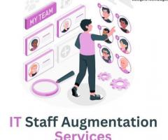 Best IT Staff Augmentation Services for Your Urgent Requirements