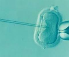 IVF cost for the year 2024 | vinsfertility