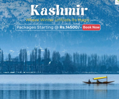 Enchanting Kashmir Honeymoon Package: Romantic Escapes with Tripoventure