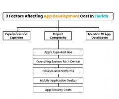 Best Mobile App Development Company In Florida | Protonshub Technologies