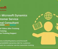 MB-230: Microsoft Dynamics 365 Customer Service Functional Consultant - 1