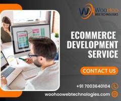 Professional Ecommerce Web Development Service Provider