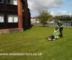 Expert Garden Maintenance Services in Manchester, UK - 1