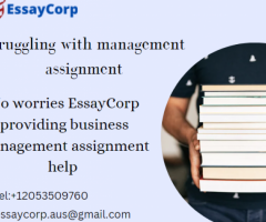 One stop destination for your business management assignment help