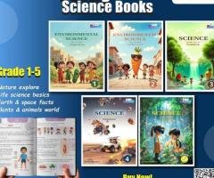 Best Kindergarten Curriculum and Primary Curriculum