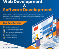 Website Development Company in USA | Idiosys USA - 1