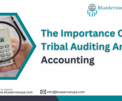 Expert Tribal Accounting Services | Streamline Finances & Optimize Growth