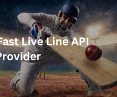 Cricket Data Simplified: API Solutions for Developers and Enthusiasts