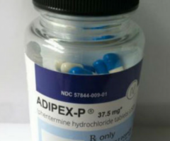 Buy Adipex Online Without Prescription