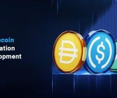 Stablecoin Integration Development for Payments and DeFi Ecosystems